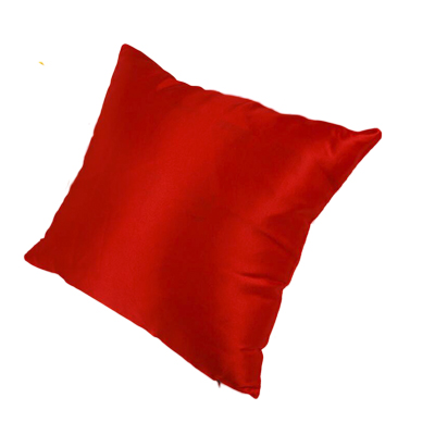 Satin Pillow Cover with Color back