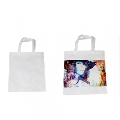 Non-Woven Shopping Bag