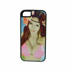 iphone 5/5s(2 in 1) TPU+PC Case