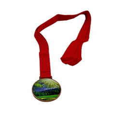 Bronze Medal