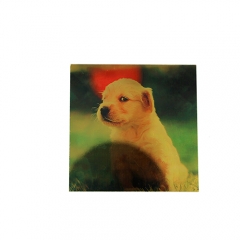 15*10CM Brush Silver Aluminium Plate