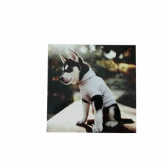 30*20CM Brush Silver Aluminium Plate