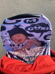 Baby Car Seat Cover