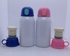 500ml Insulated Bottle